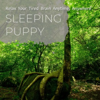 Relax Your Tired Brain Anytime, Anywhere