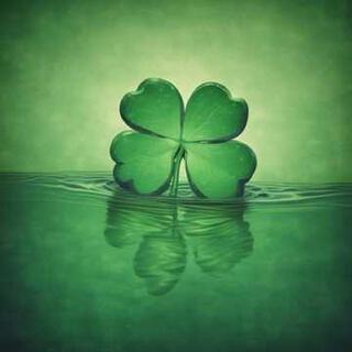 Shamrock