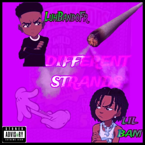 Different Strands ft. Lil bam & LuhBandoFr | Boomplay Music