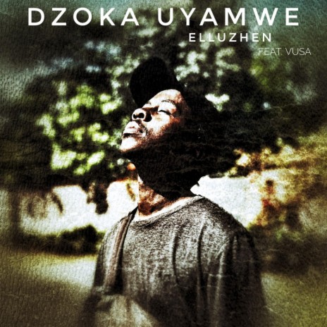 Dzoka Uyamwe ft. Vusa