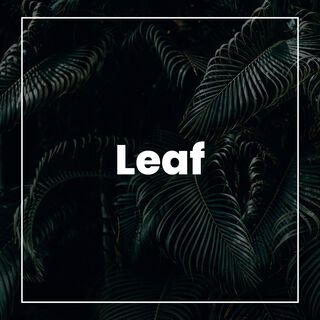 Leaf