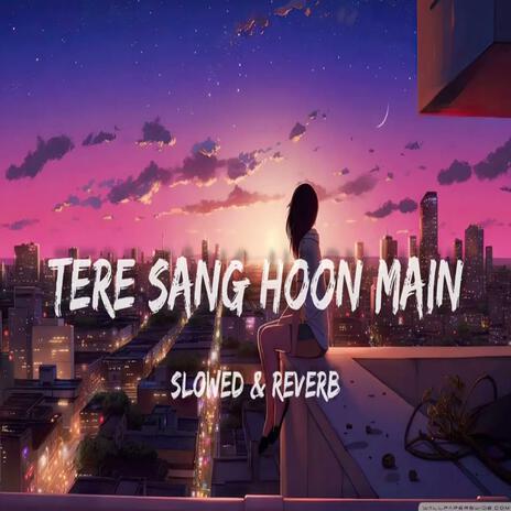 Tere Sang Hoon Main | Boomplay Music