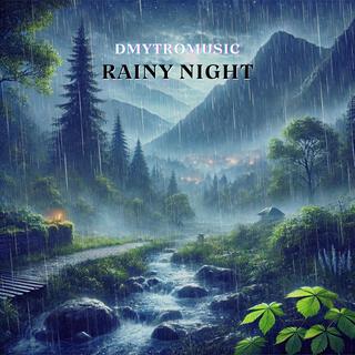 Rainy Night