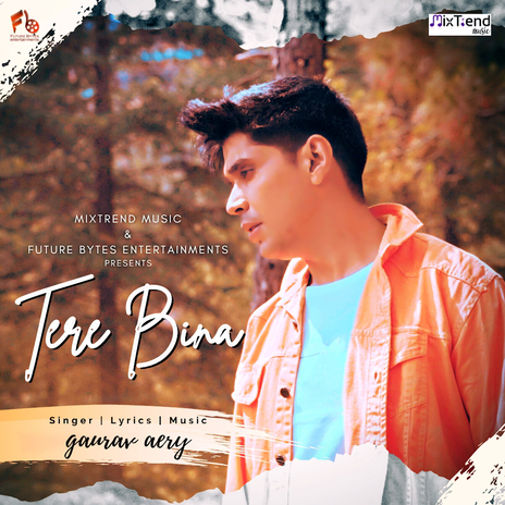 Tere Bina | Boomplay Music