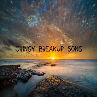 CRINGY BREAKUP SONG