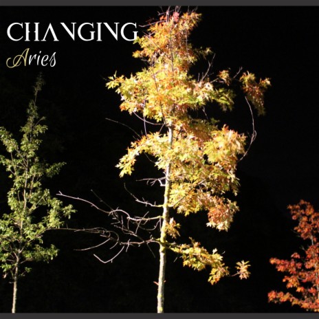 Changing | Boomplay Music