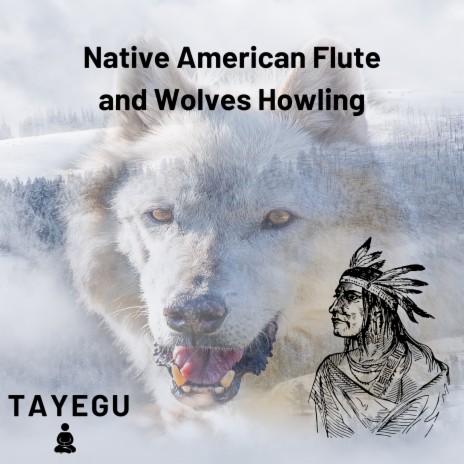 Native American Flute and Wolves Howling 1 Hour Relaxing Ambient Yoga Meditation Sound For Sleep or Study | Boomplay Music