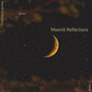 Moonlit Reflections