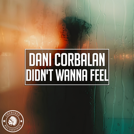 Didn't Wanna Feel | Boomplay Music