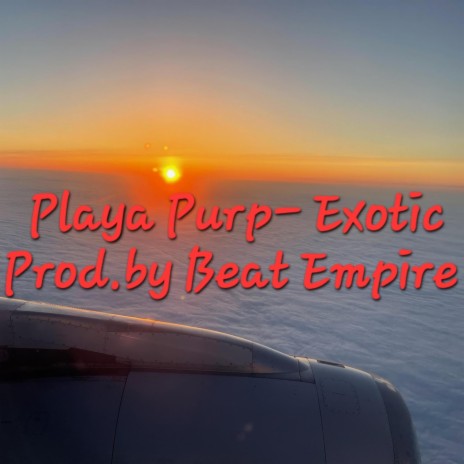 Exotic | Boomplay Music