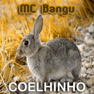 Coelhinho