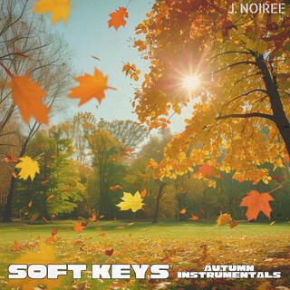 Soft Keys