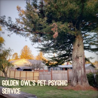 golden owl's pet psychic service