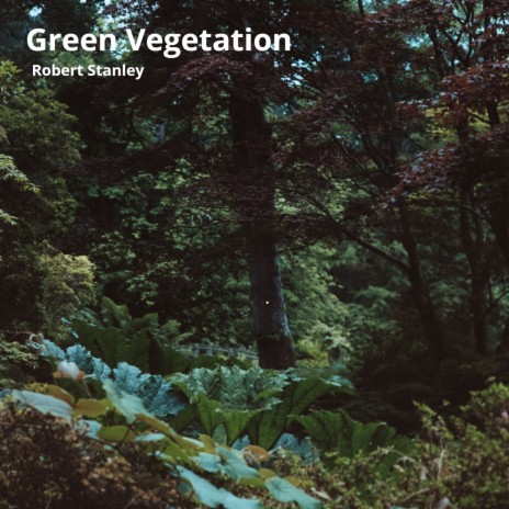 Green Vegetation | Boomplay Music