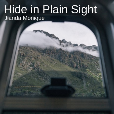 Hide in Plain Sight | Boomplay Music