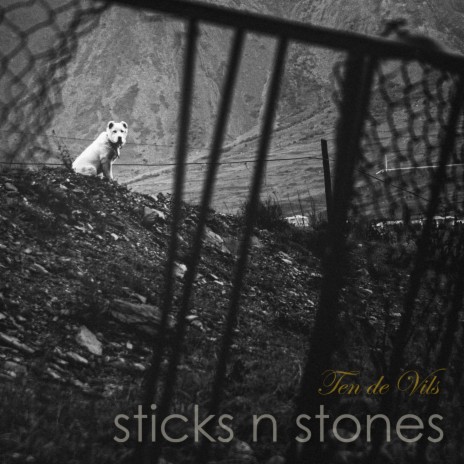 Sticks And Stones | Boomplay Music