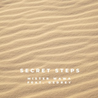 Secret Steps (Radio Edit) | Boomplay Music