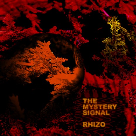 Rhizo | Boomplay Music