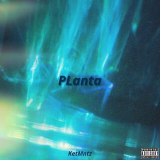 PLanta