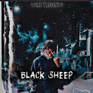 Black Sheep