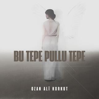 Bu Tepe Pullu Tepe