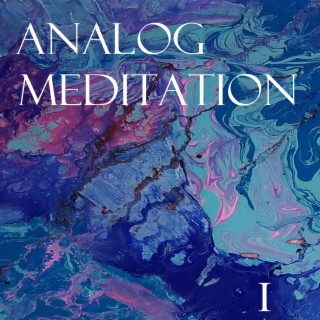 Analog Meditation : Disk 1