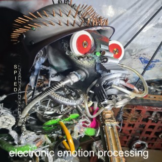 Electronic Emotion Processing