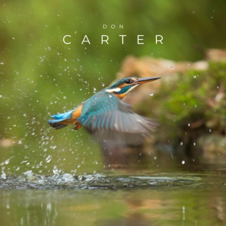 Bird's Feather On water | Boomplay Music