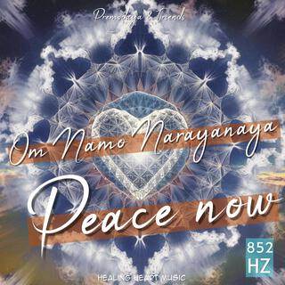 Om Namo Narayanaya, Peace now