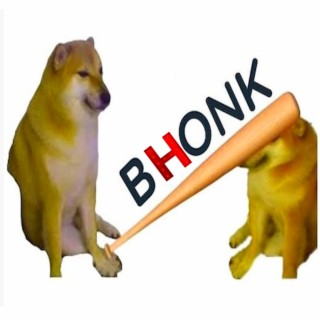 BHONK