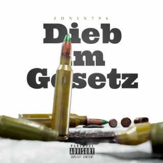 Dieb im Gesetz