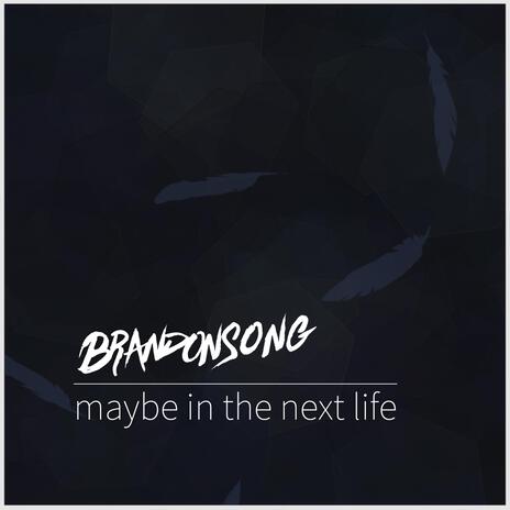 Maybe in the Next Life | Boomplay Music