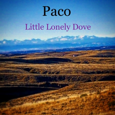 Little Lonely Dove | Boomplay Music