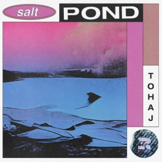 Salt Pond