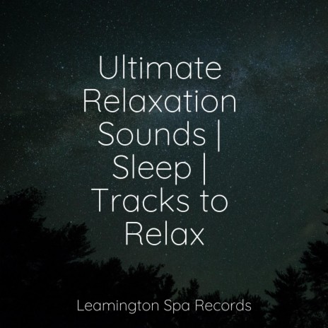 Music for Deep Sleep | Boomplay Music