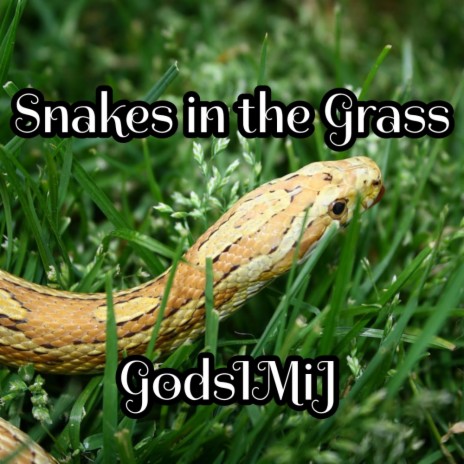 Snakes in the Grass