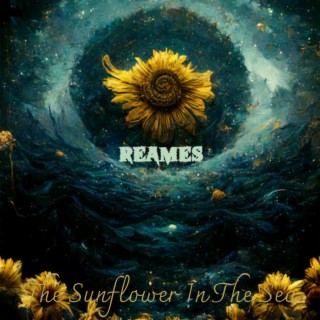 The Sunflower In The Sea lyrics | Boomplay Music