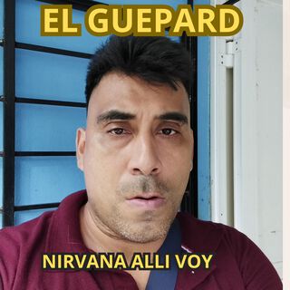 Nirvana Alli Voy