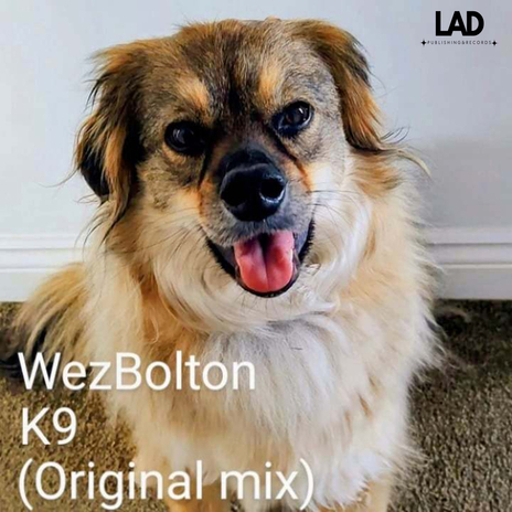 K9 | Boomplay Music