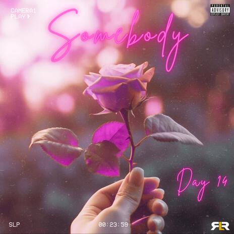 Somebody | Boomplay Music