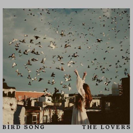 Bird Song | Boomplay Music