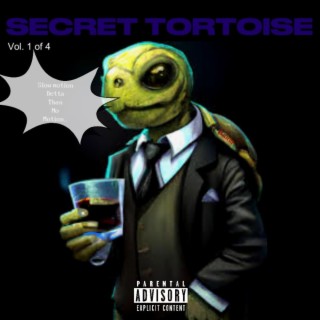 Secret Tortoise