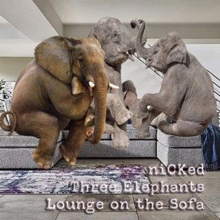 Three Elephants Lounge On The Sofa