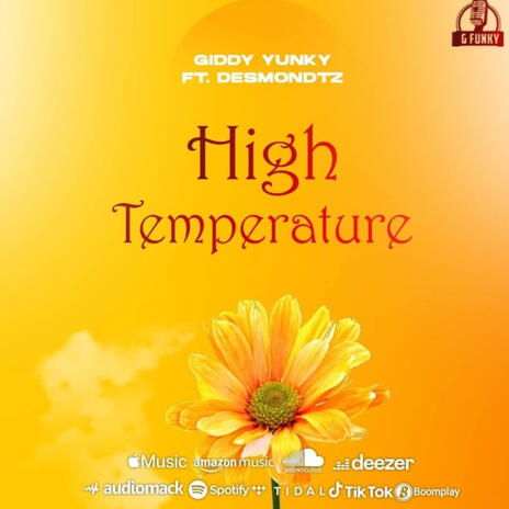 HIGH TEMPERATURE | Boomplay Music