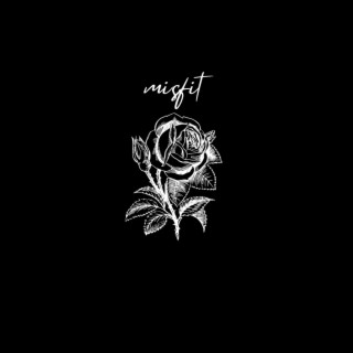 Misfit lyrics | Boomplay Music