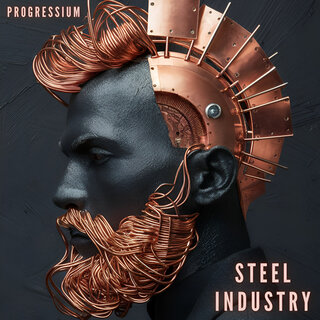 Steel Industry