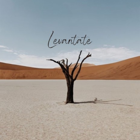 Levantate ft. Mind & Earth | Boomplay Music