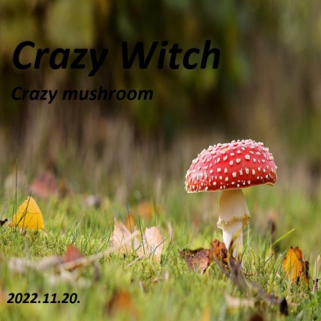 Crazy mushroom