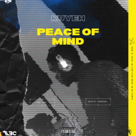 Peace of Mind | Boomplay Music