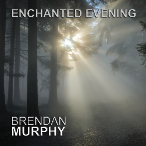 Enchanted Evening | Boomplay Music